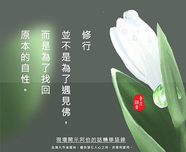 手足情不深| 方格子