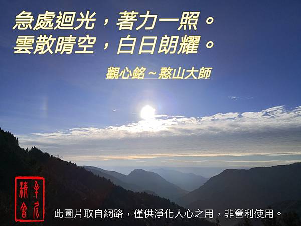 raw-image