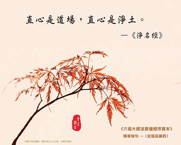 raw-image