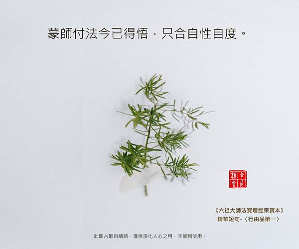 raw-image