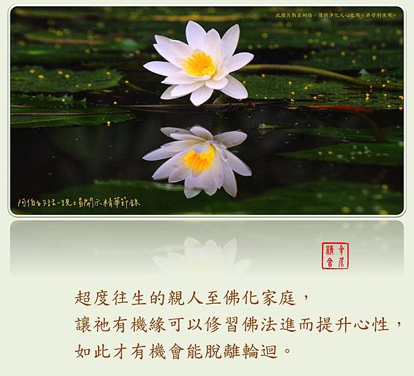 raw-image