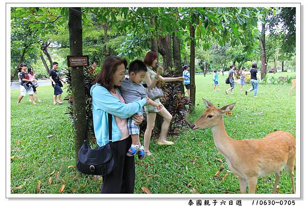 泰國親子六日遊28.jpg