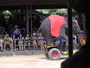 大象騎車車