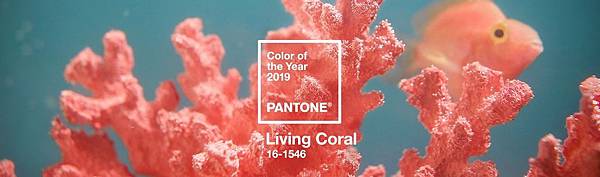 pantone-color-of-the-year-2019-living-coral-banner.jpg