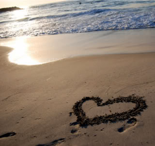 Summer Love.bmp Summer Love.bmp