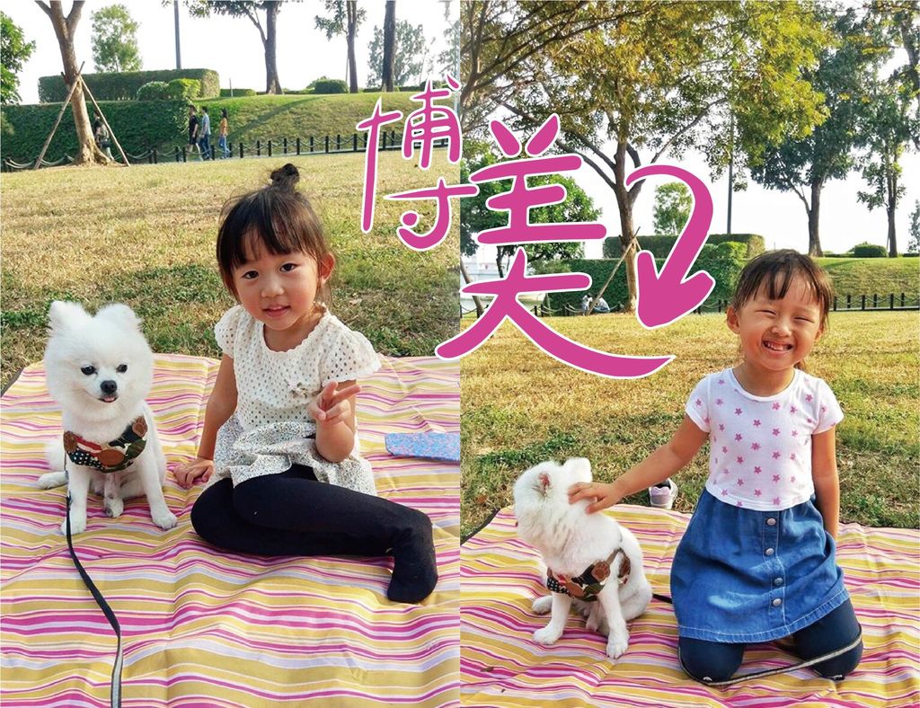 狐狸犬家族 狐狸犬 博美犬 薩摩耶犬有什麼差異 小青愛寵物 吃喝玩樂旅遊去 痞客邦 狐狸犬家族 狐狸犬 博美犬 薩摩耶犬有什麼差異 小青愛寵物 吃喝玩樂旅遊去 痞客邦