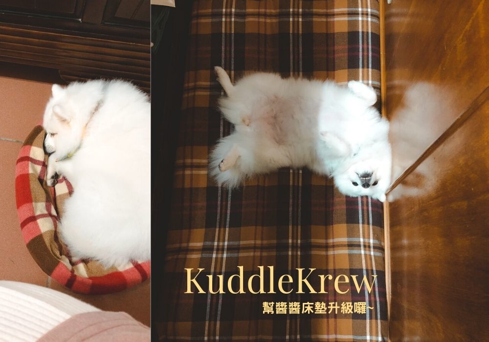 【KuddleKrew毛得舒】可拆洗寵物床