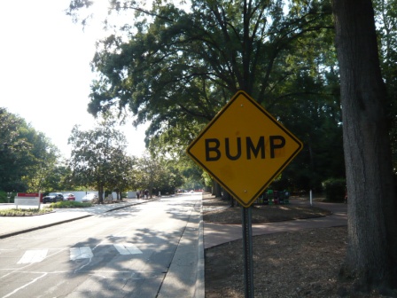 P1000352_BUMP