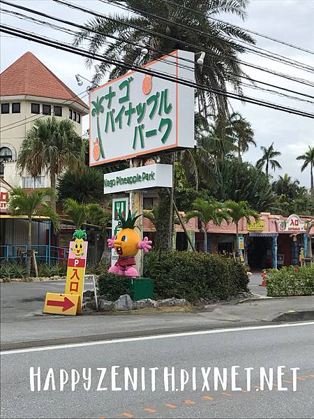 名櫻大學入口 唔揸車!2000円任坐沖繩巴士 名護鳳梨園 名護菠蘿園 70號