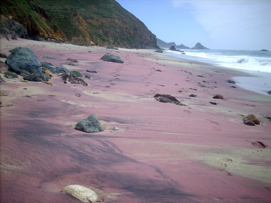 紫色沙灘