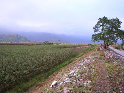 R0016781.jpg R0016781.jpg