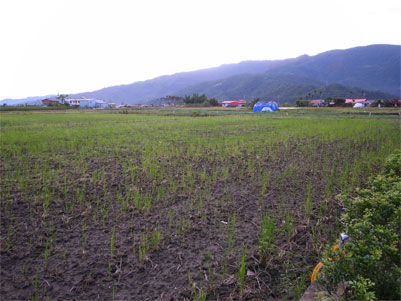 R0016903.jpg R0016903.jpg