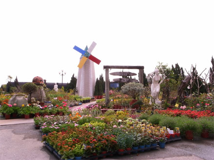 R0018020.jpg R0018020.jpg