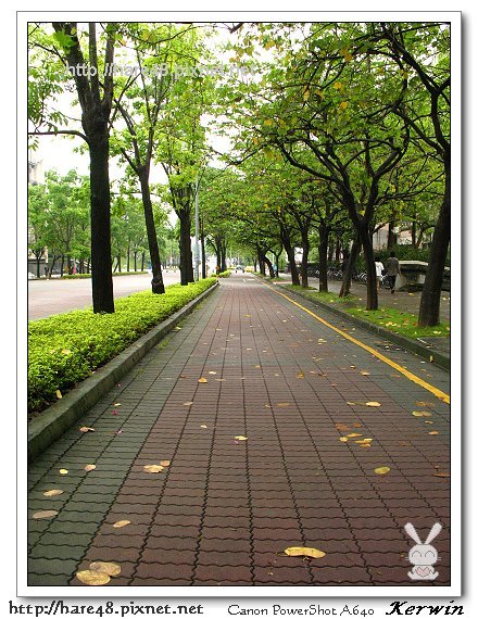 中正大學