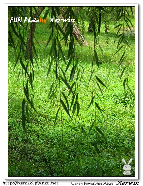 巴克禮公園