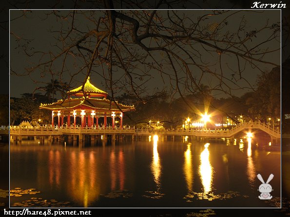 府城賞花季-夜拍.jpg