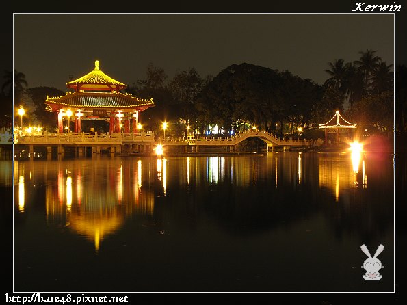 府城賞花季-夜拍 (3).jpg