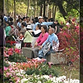 2009府城賞花季 (16).jpg