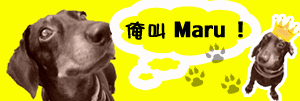 Maru簽名檔.gif