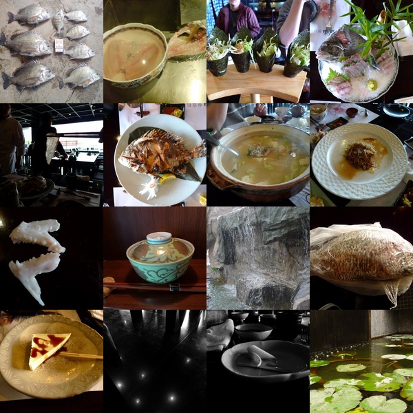 collage.jpg collage.jpg