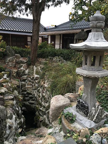 IMG_0455.jpg IMG_0455.jpg