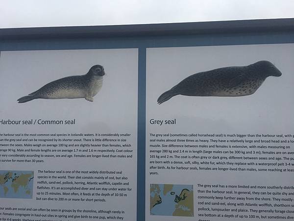 IMG_6448.jpg IMG_6448.jpg