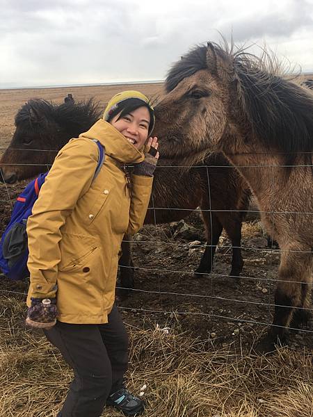 IMG_6461.jpg IMG_6461.jpg