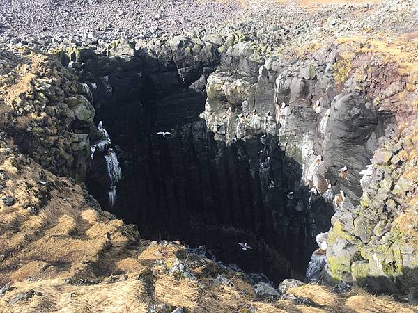 IMG_6495.jpg IMG_6495.jpg