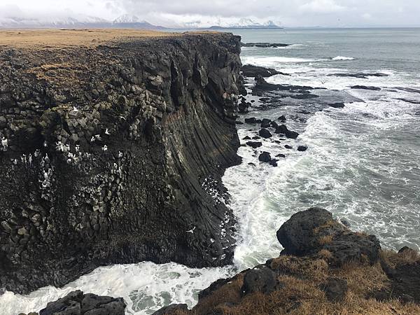 IMG_6480.jpg IMG_6480.jpg