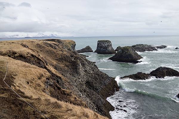 Adjusted-01822.jpg Adjusted-01822.jpg