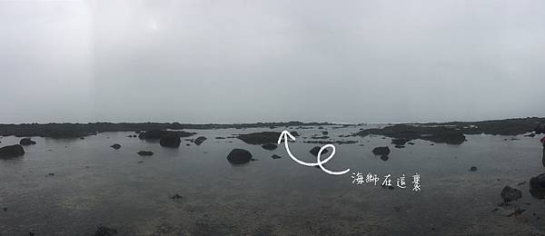 IMG_7517.jpg IMG_7517.jpg