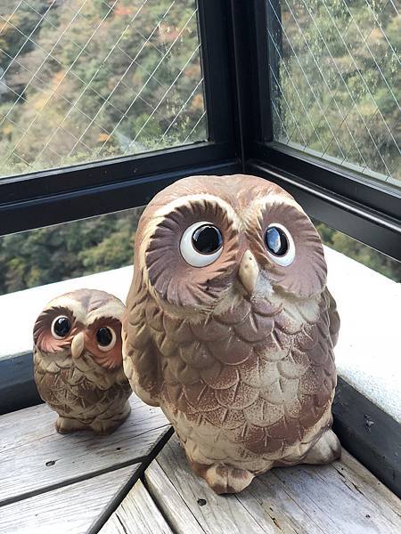 IMG_0492.JPG IMG_0492.JPG