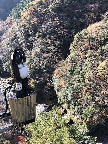 IMG_0512.JPG IMG_0512.JPG