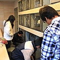 201102-41.jpg