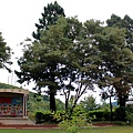 2011071213-11.jpg