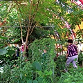 20110722-022.jpg