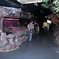 20110722-032.jpg