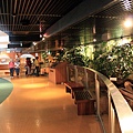 20110722-058.jpg