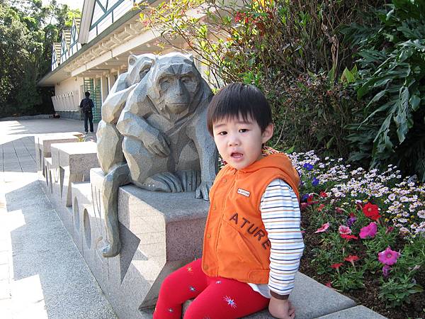 動物園門口的猴子