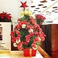 xmastree-013