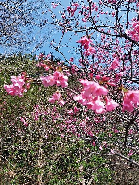 五股水碓觀景公園一遊~~~~