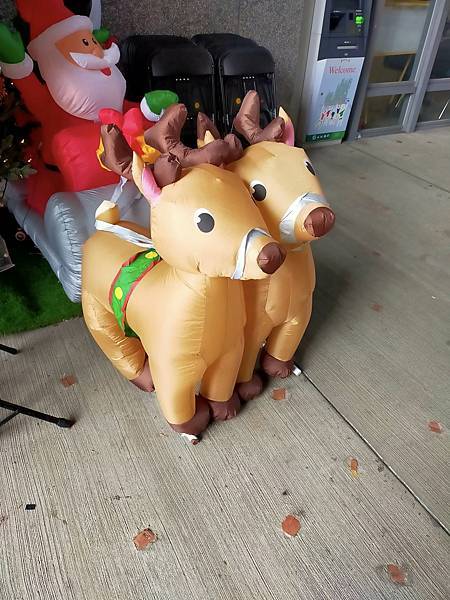 長跑_8km_2km緩跑_走路_4.8km__2024 ou