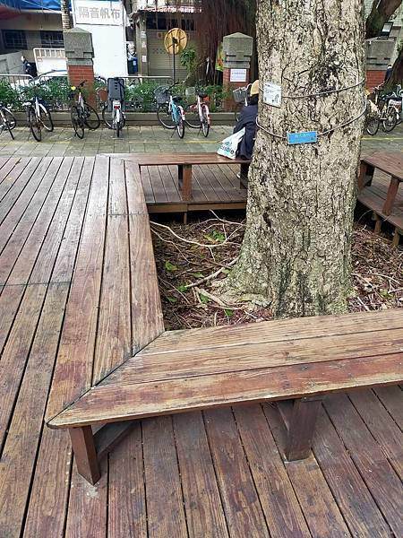 長跑_8km_2km緩跑_走路_4.8km__2024 ou