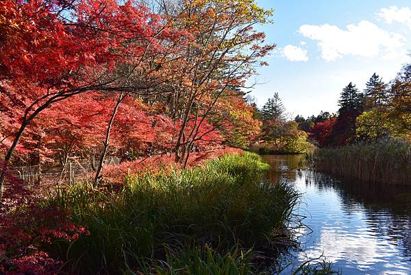 DSC_0237.JPG DSC_0237.JPG