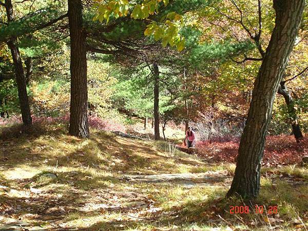 Foliage watching turned to mountain climbing :(