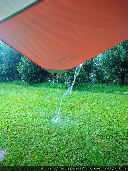 DSC_0552.jpg DSC_0552.jpg