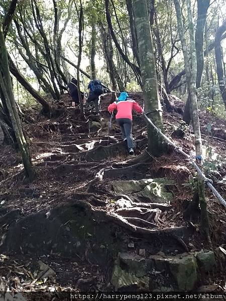 DSC_0628 - 複製 - 複製.jpg DSC_0628 - 複製 - 複製.jpg