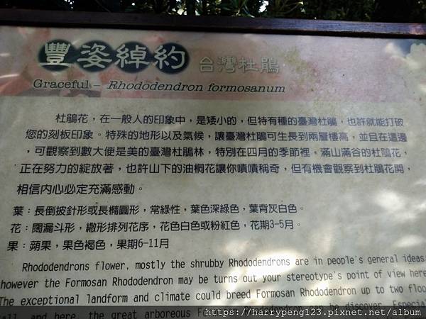 DSC_0627 - 複製 - 複製.jpg DSC_0627 - 複製 - 複製.jpg