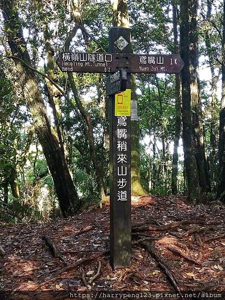 DSC_0622 - 複製 - 複製.jpg DSC_0622 - 複製 - 複製.jpg