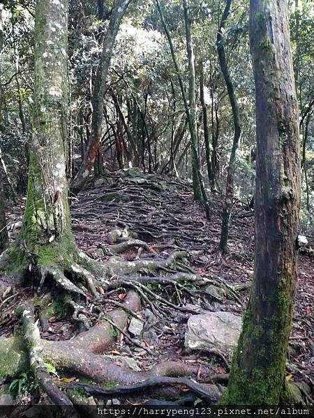 DSC_0624 - 複製 - 複製.jpg DSC_0624 - 複製 - 複製.jpg